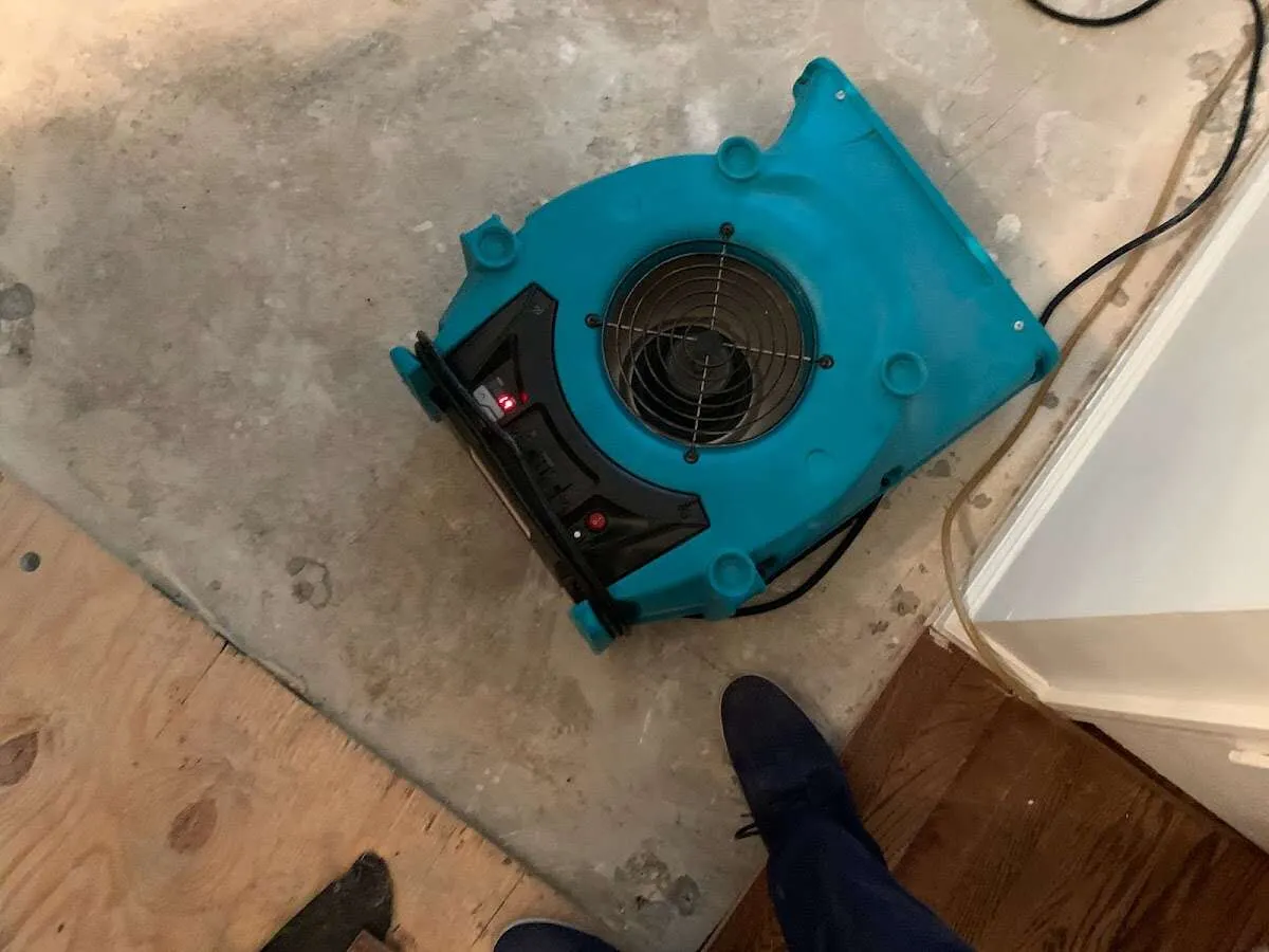 Air mover drying subfloor during Leak Detection & Repair in Adelphi